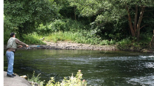 pesca alcala jucar Casas Rurales del Júcar